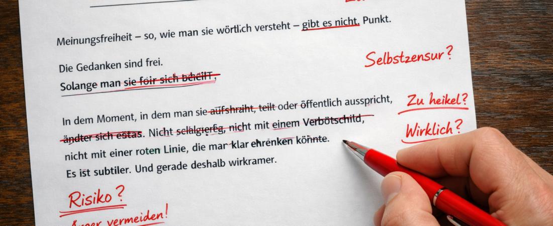 Meinungsfreiheit – warum sie praktisch zerfällt Reibungsfläche Meinungsfreiheit – warum sie praktisch zerfällt